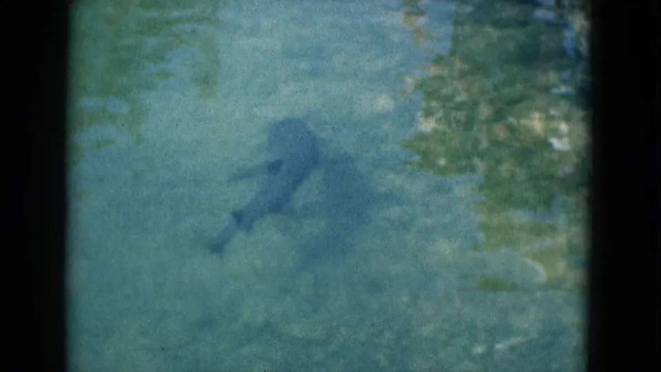 1975 Florida 8mm frame of a dark fish in shallow green-blue water, with leafy reflections and a soft home-movie texture.