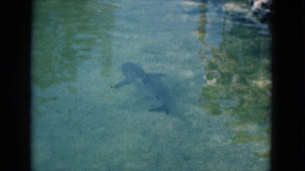 Blue-green water with a dark shark-like silhouette near the surface.
