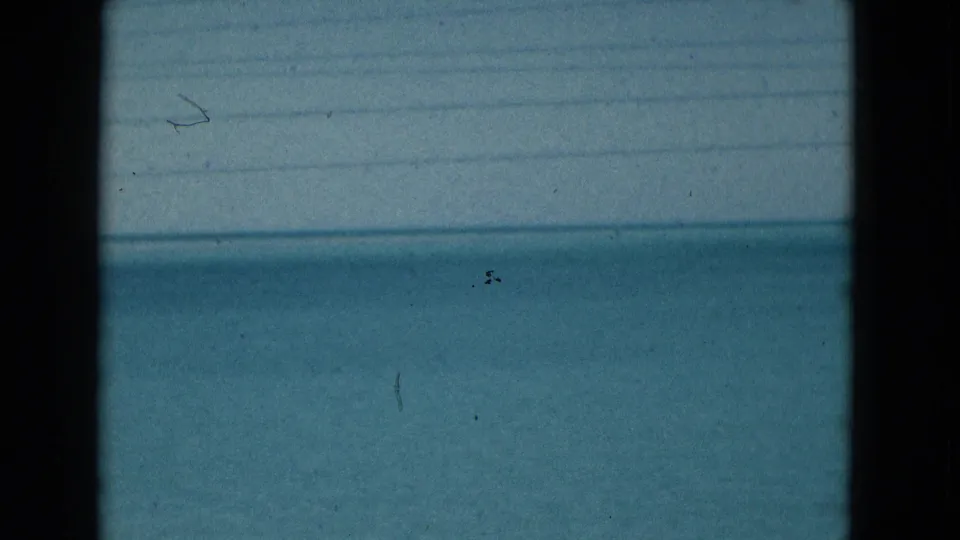 1975 Florida 8mm frame showing blue water and film wear, including dust, scratches, soft focus, and dark scan borders.