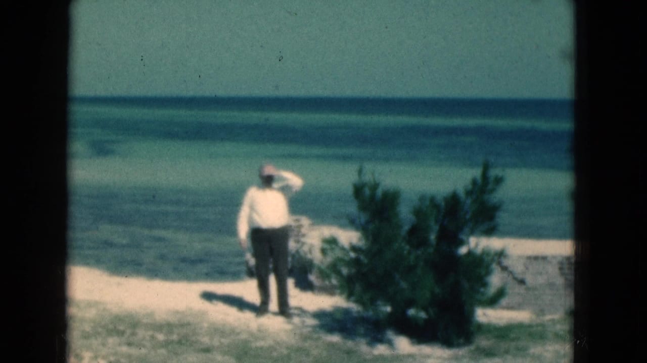 In 1975 Florida beach footage, the man pauses beside a shrub and lifts his hand to shade his eyes from the sun.
