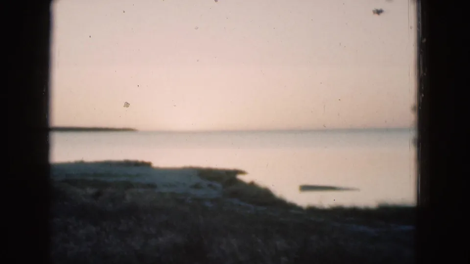 Soft 8mm view of a Florida lake or inlet, with pale sky, still water, and shadowed shoreline vegetation.