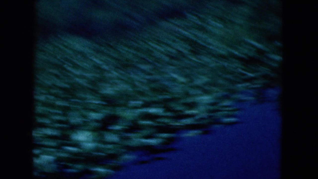 Blue-green water surface with blurred vegetation or shoreline detail along the edge.