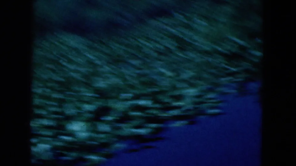 1975 Florida 8mm frame with blue-green water and blurred coastal vegetation or shoreline detail, seen in soft motion.