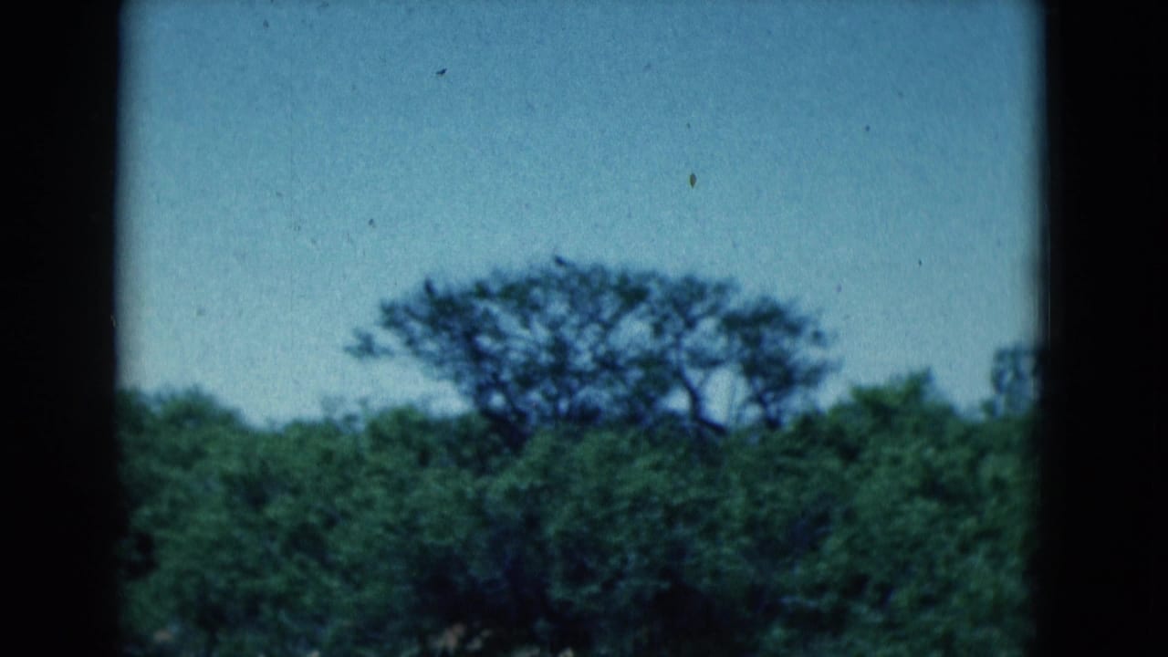 Distant treeline and blue sky seen through dark 8mm film edges.