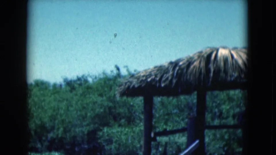 1975 Florida home-movie frame with a small thatched-roof shelter set among dense green vegetation.
