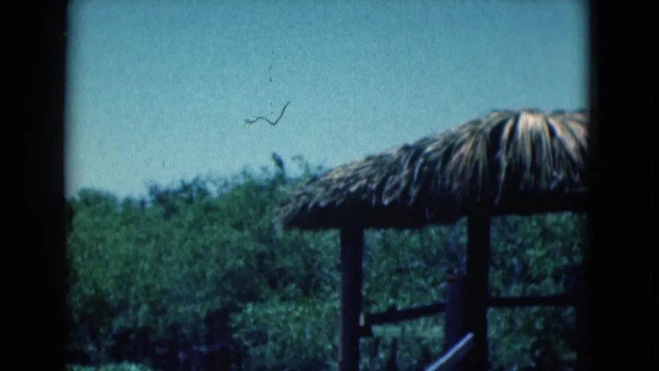 8mm frame from the 1975 Florida clip showing a thatched-roof structure beside dense tropical greenery.