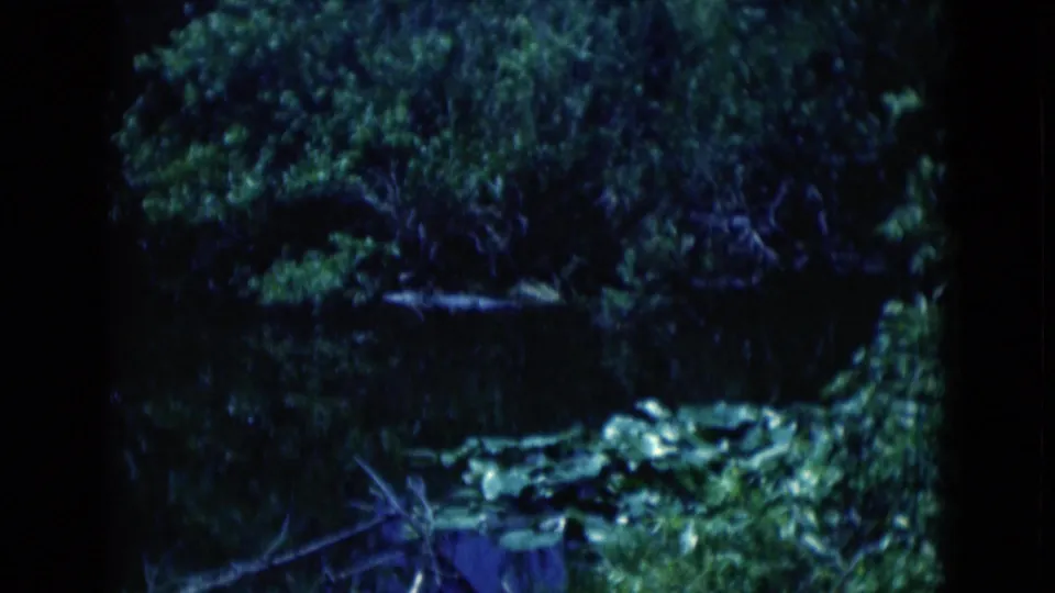 1975 Florida 8mm frame looking across a dark waterway bordered by dense green vegetation and shadowed banks.