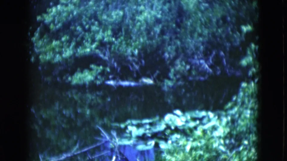 1975 Florida 8mm frame showing dark water, dense riverside greenery, and bright foreground leaves with visible film softness.