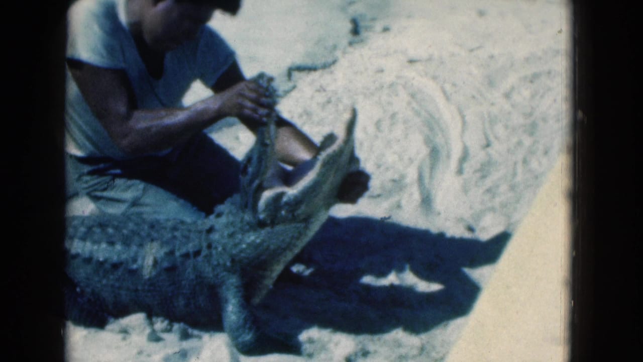 1975 Florida home-movie frame of an adult man in a white T-shirt crouching beside an alligator with its jaws open on sand.