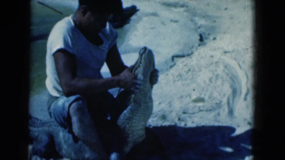 1975 Florida home-movie frame of an adult man kneeling close to an alligator and holding its head on a sandy shore.