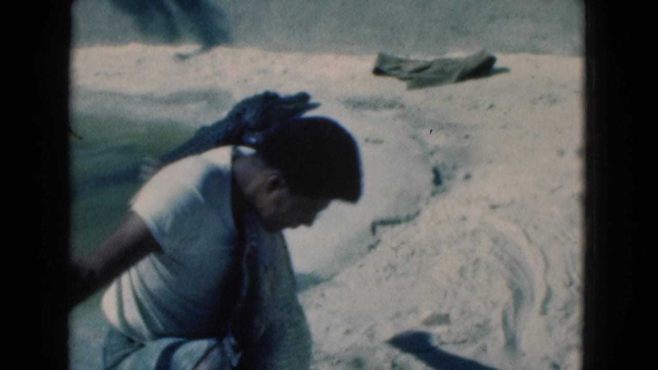 The man remains bent over the large crocodile-like reptile on a sunlit sandy surface in the Florida home-movie scene.