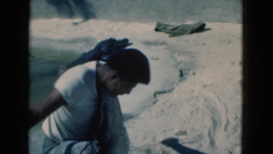 The man remains bent over the large crocodile-like reptile on a sunlit sandy surface in the Florida home-movie scene.