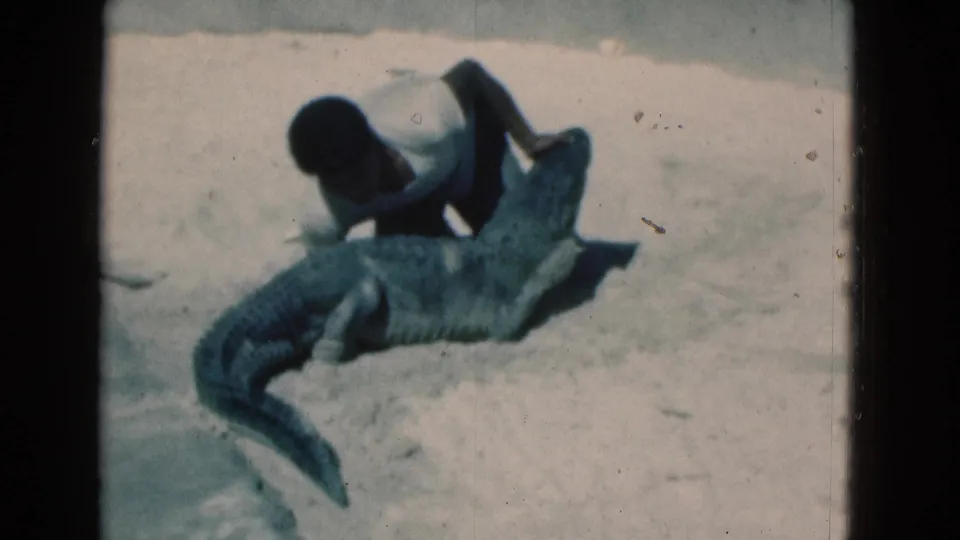 A man in casual clothes crouches beside the large reptile, pressing close to it during the 1975 Florida 8mm scene.