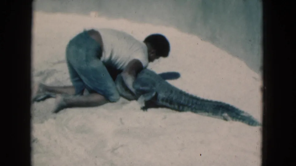 In the final 1975 Florida frame, the man kneels over the large crocodile-like reptile while its tail extends across the sand.