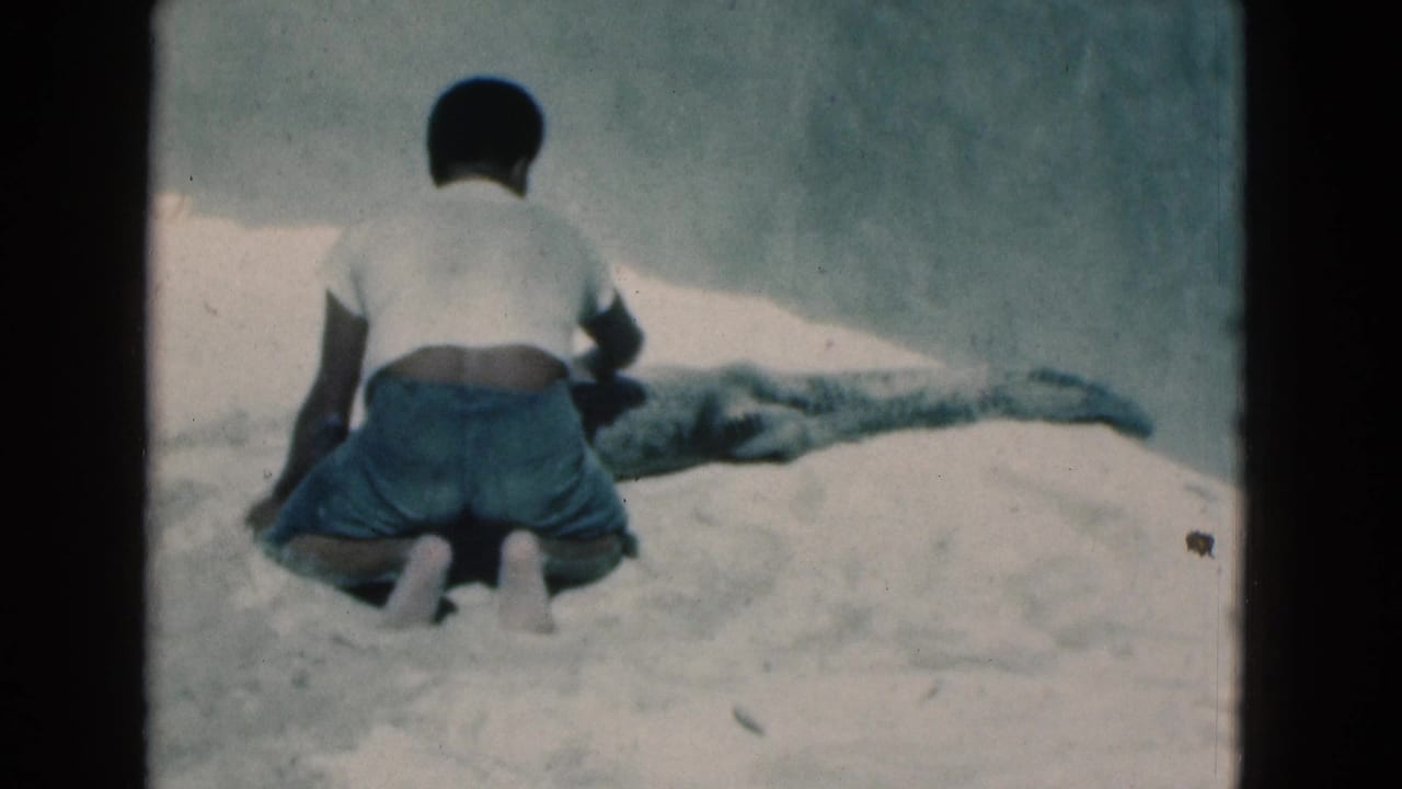 In 1975 Florida home-movie footage, a person in a white shirt and blue shorts kneels on sand near a small alligator or crocodile.