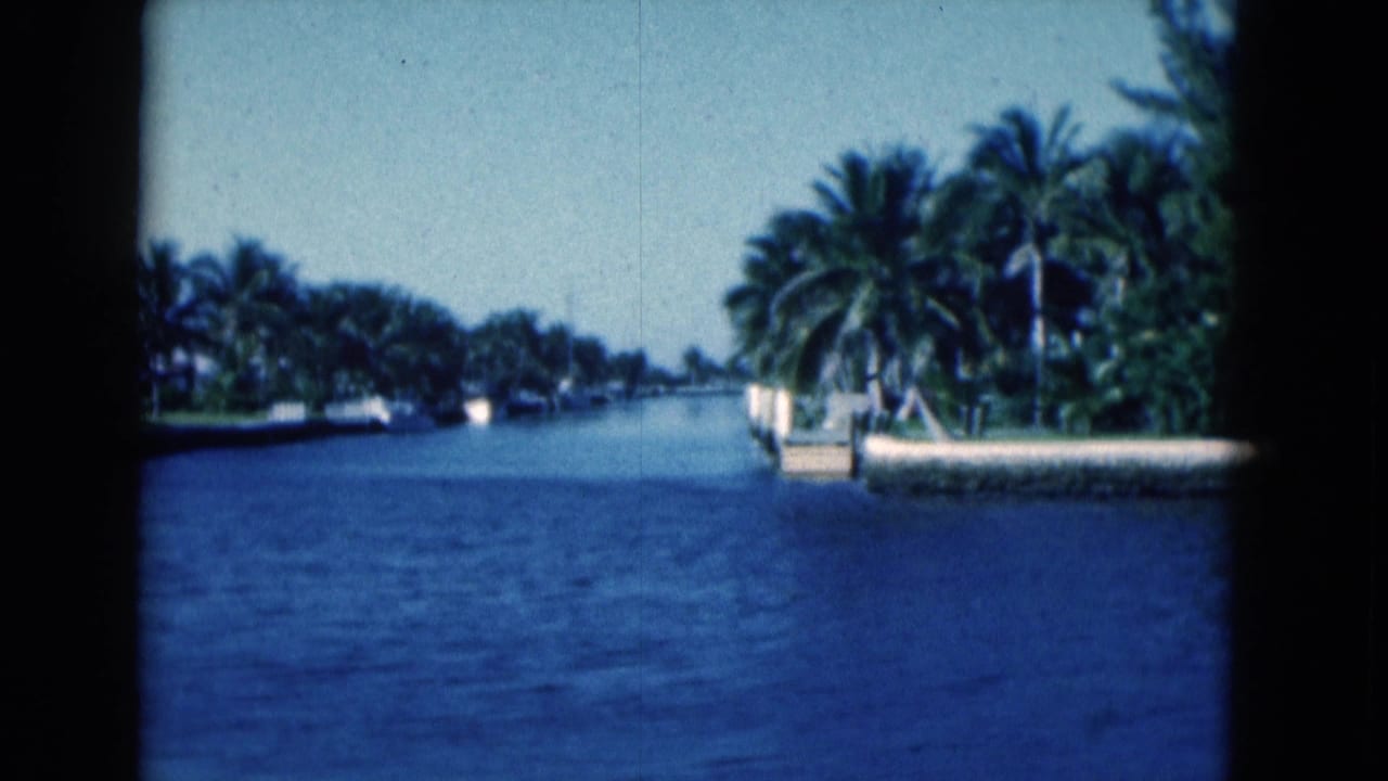 Wide canal view with palms and a waterfront edge on the right.
