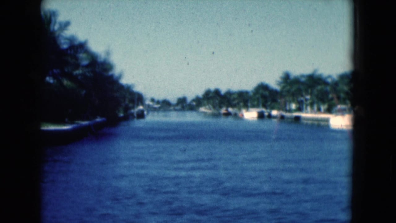 Canal view with palms, shoreline homes, boats, and dark film edge.