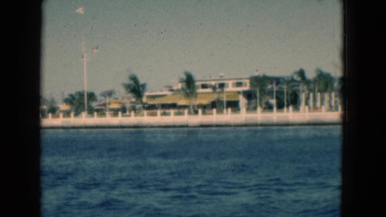 Palm-lined shoreline with a low building behind a white seawall.