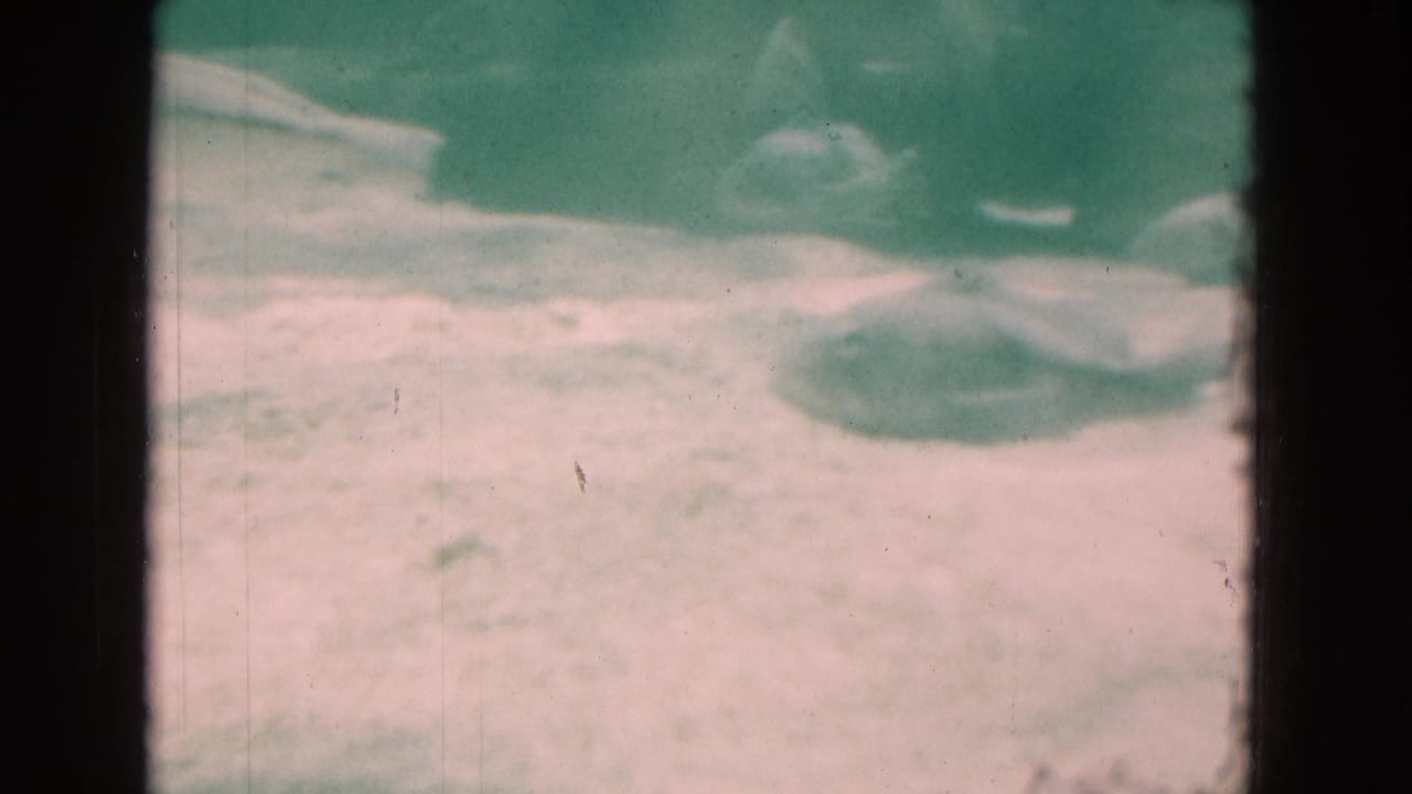 1975 Florida 8mm underwater footage showing soft fish silhouettes near a pale sandy bottom, with heavy green tint and visible frame edge.