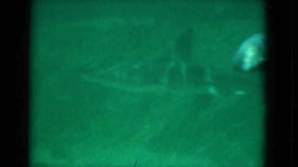 1975 Florida 8mm frame showing fish moving through green-tinted aquarium water behind dark window divisions.