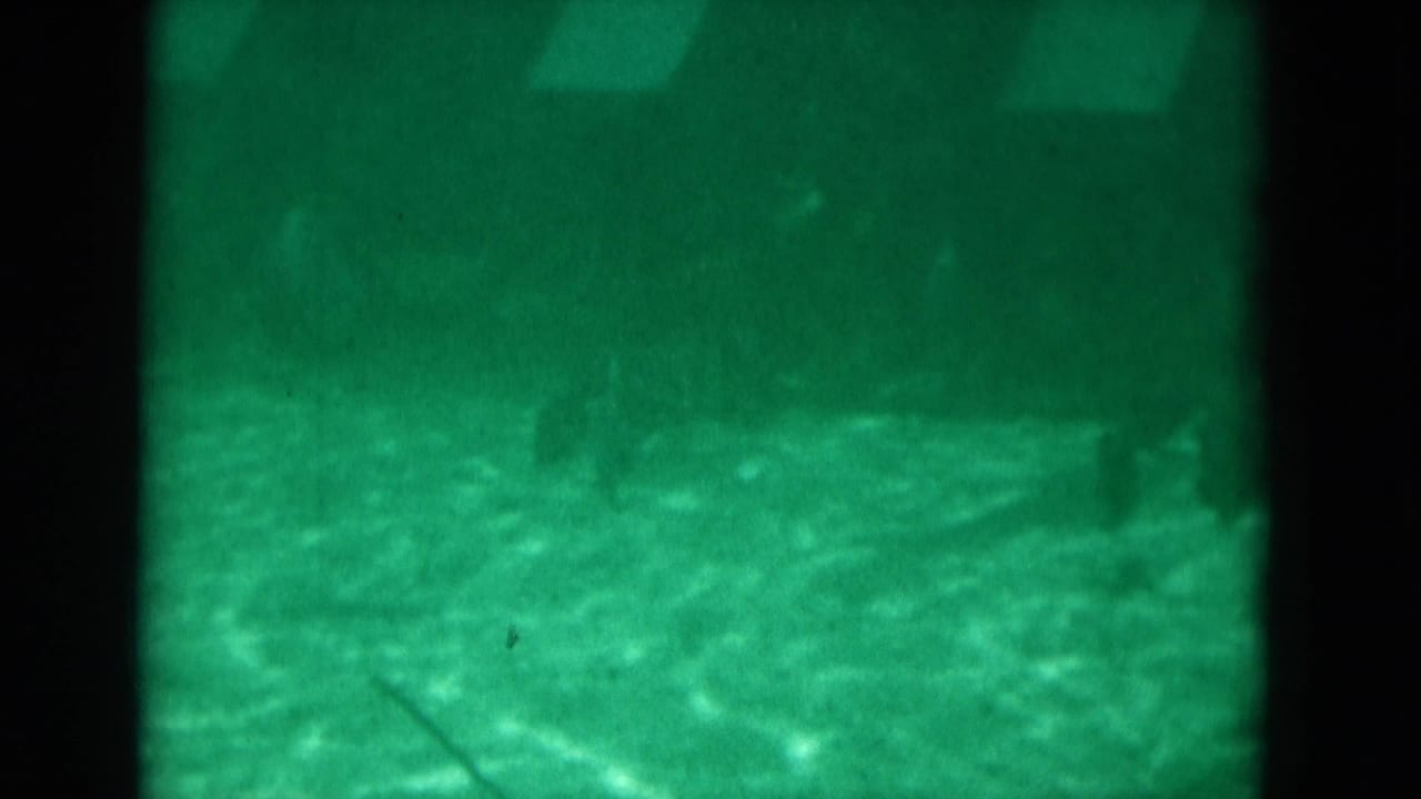 Soft 8mm underwater view in Florida, 1975, showing green water, rippled floor, and faint fish silhouettes near dark dividers.
