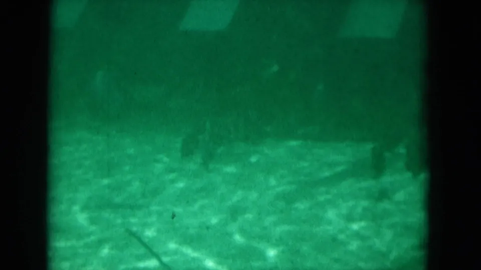 Soft 8mm underwater view in Florida, 1975, showing green water, rippled floor, and faint fish silhouettes near dark dividers.