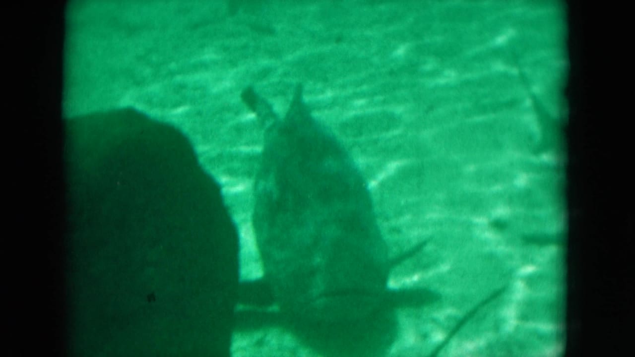 1975 Florida 8mm underwater frame with green water, dark foreground silhouettes, soft focus, and visible film gate edges.