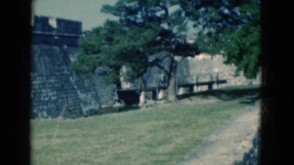1975 Florida home-movie frame showing a grassy roadside area, stone wall, trees, and a pale path or road edge after the pedestrian has passed.