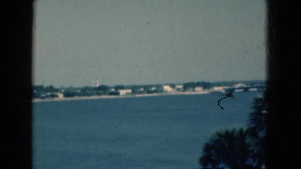 1975 Florida coastal view across water, with low shoreline buildings, a small water tower, palm fronds, and dark frame edges.
