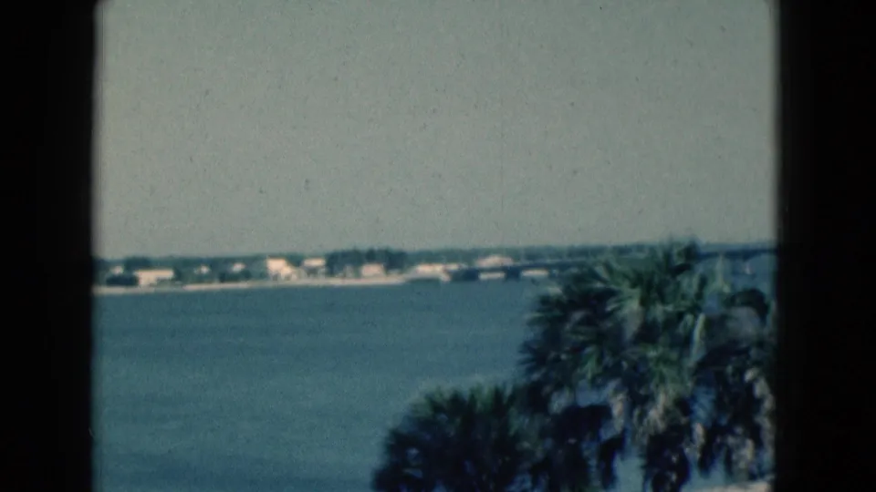 1975 Florida home-movie frame with broad blue water, a distant built shoreline, tree line, and larger palm fronds in the foreground.