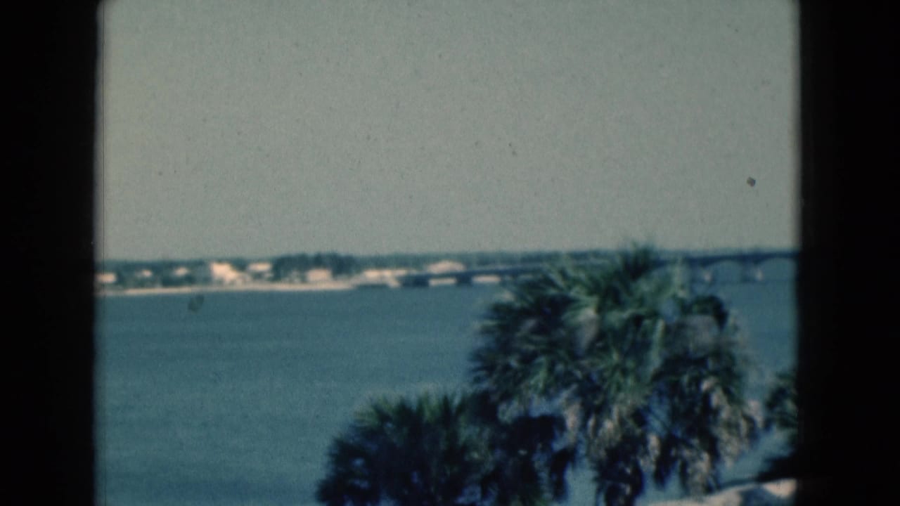 1975 Florida home-movie view of palms along a waterfront with a distant bridge across the water.