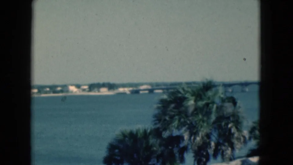 1975 Florida home-movie view of palms along a waterfront with a distant bridge across the water.