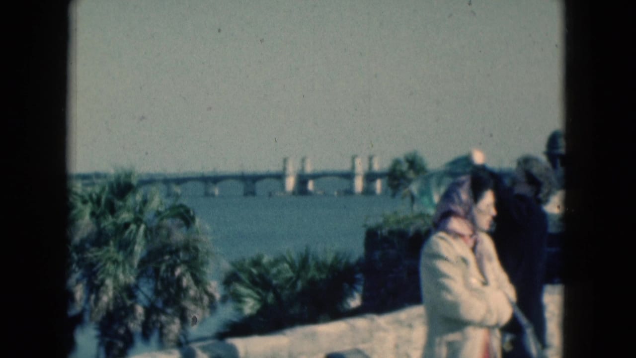 Visitors standing near a waterfront overlook with a bridge behind them.