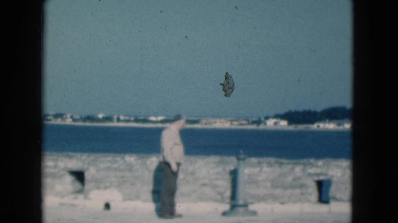 1975 Florida waterfront frame with a man near a low stone wall and a calm blue channel behind him.