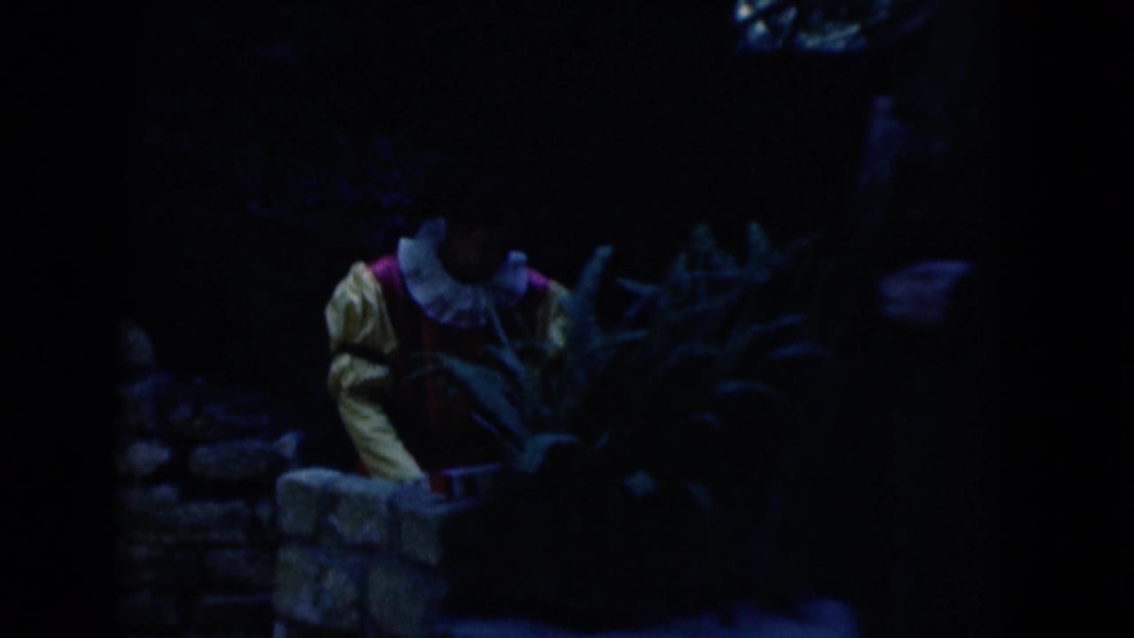 Dark 1975 Florida 8mm frame showing a person near low stone structures with foliage and another figure partly entering the scene.