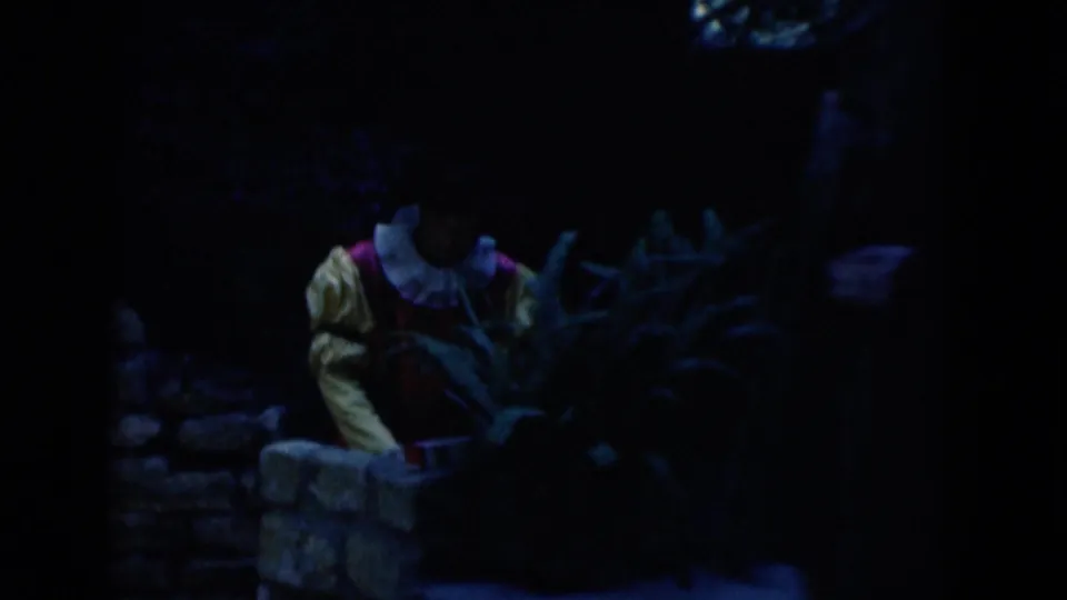 Dark 1975 Florida 8mm frame showing a person near low stone structures with foliage and another figure partly entering the scene.