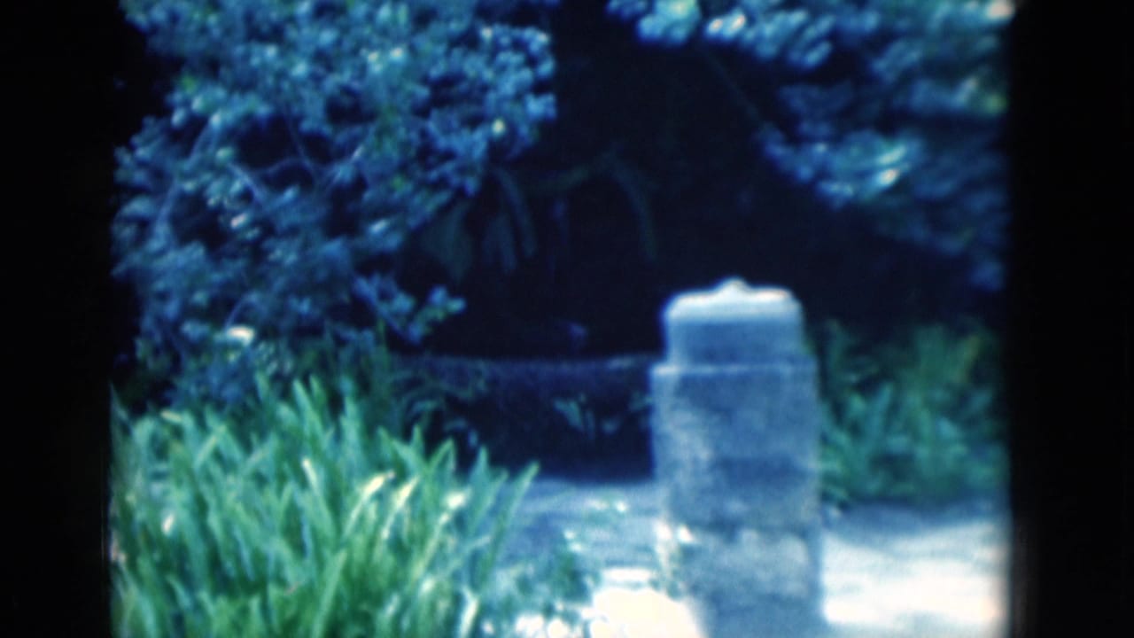 1975 Florida 8mm frame showing a stone marker beside a lush garden path with heavy foliage and blue-tinted shade.