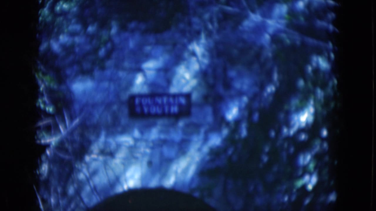 1975 Florida 8mm frame showing a Fountain of Youth sign on a stone arch partly obscured by branches and deep blue shade.