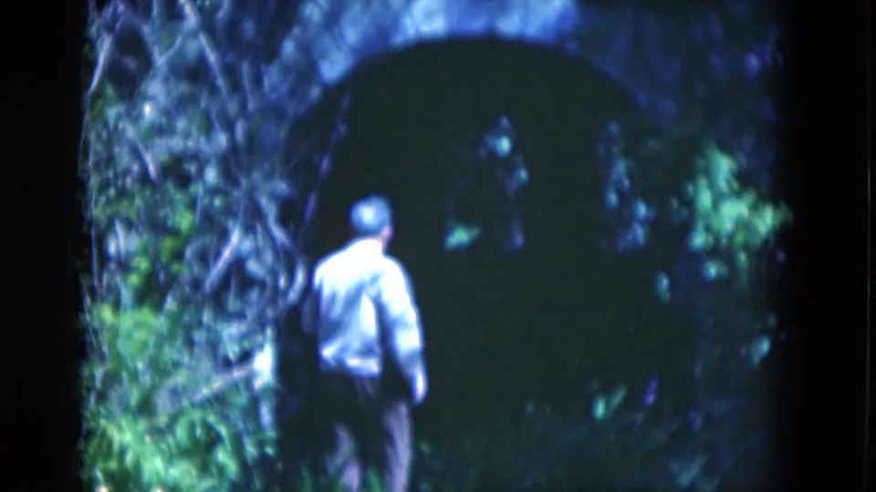 1975 Florida 8mm frame showing an adult man walking under or toward a shaded stone archway amid dense garden growth.