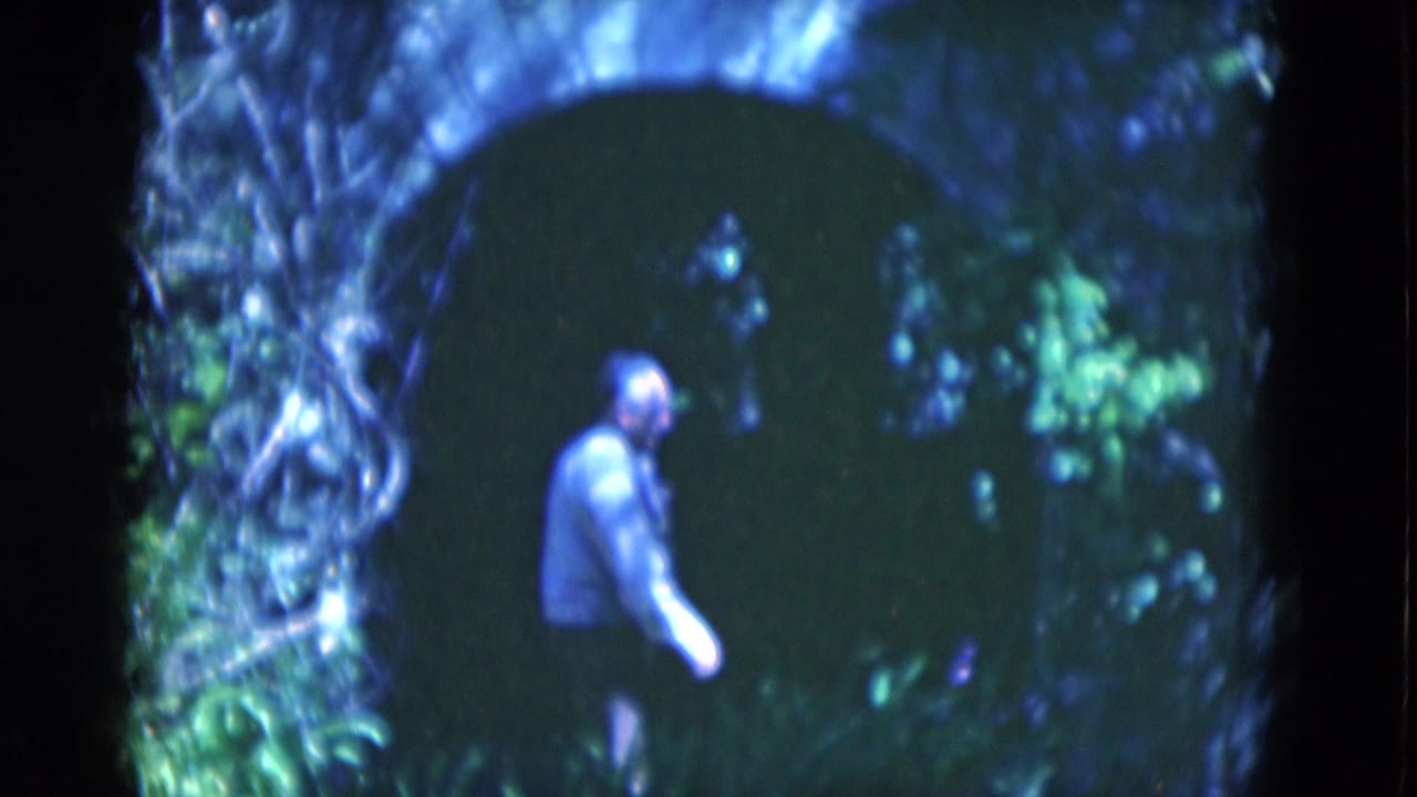 Man in a light shirt walks inside a dark arched tunnel bordered by foliage.