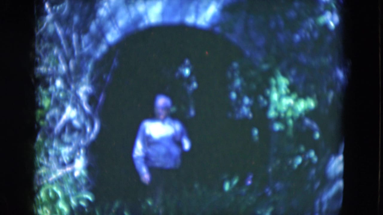 1975 Florida home-movie frame showing a man turned toward the camera inside a dark arched walkway with bright foliage at the edges.