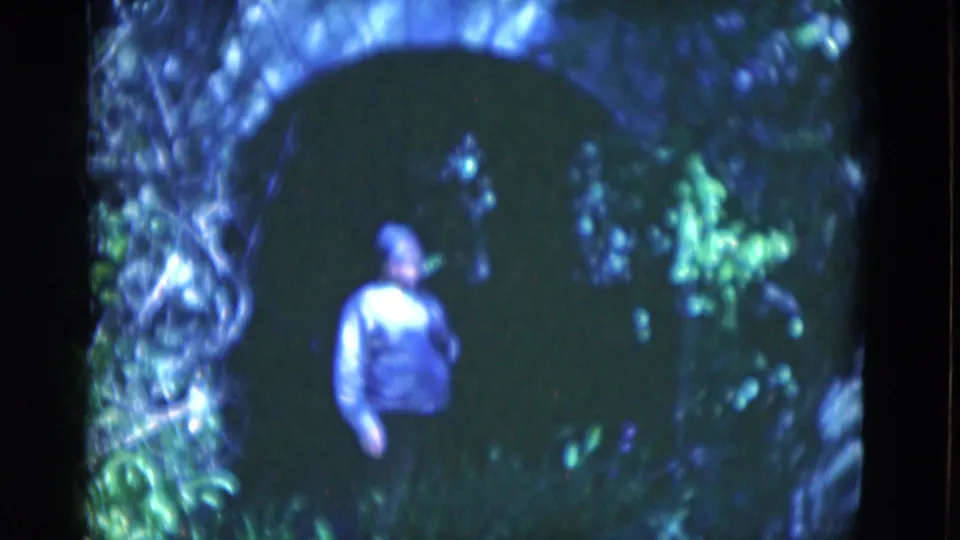 1975 Florida 8mm frame of a man partly turned in a shaded tunnel-like arch, with leafy plants and vine texture visible along the opening.