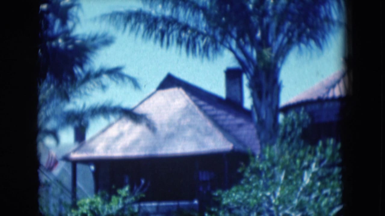 Palm fronds frame a shaded house with a tiled roof and chimney.