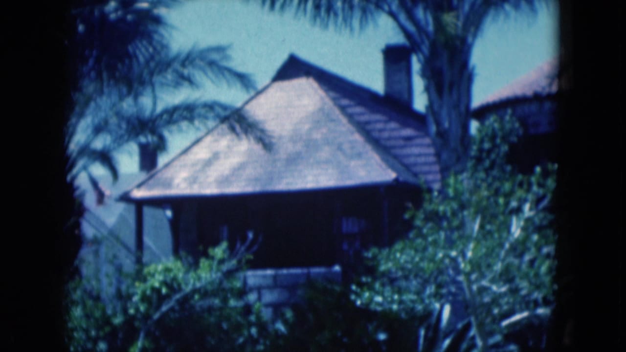 1975 Florida 8mm view of a tile-roofed house partly obscured by palm trunks, fronds, and shrubs.