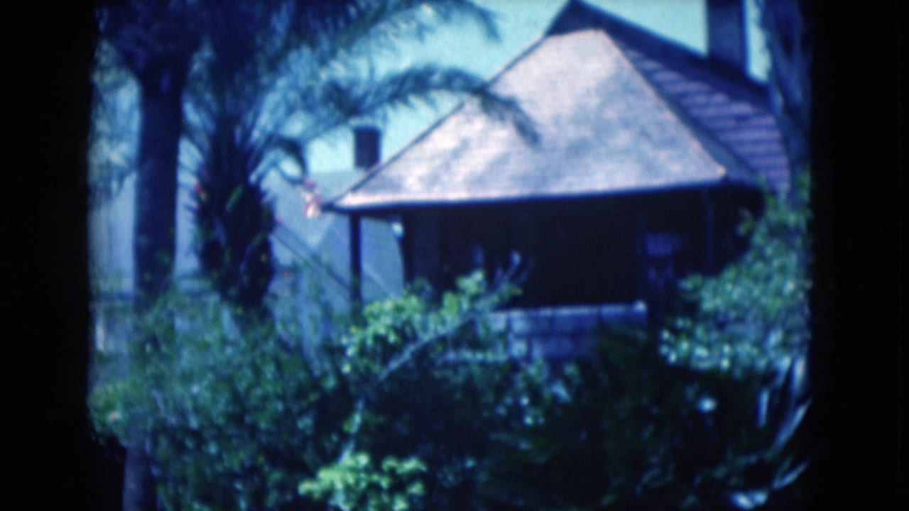Brown roofed gazebo or pavilion partly hidden by palms and shrubs.