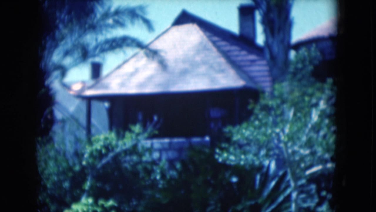 1975 Florida home-movie frame with a roofed tropical structure seen through palms and garden growth.