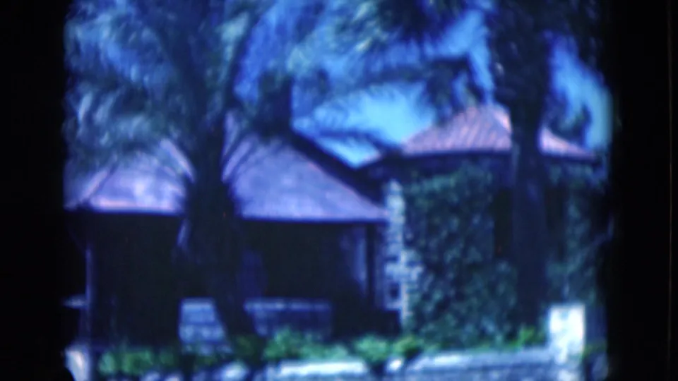 1975 Florida 8mm view of a tropical roofline, palm canopy, stone or stucco column, dark wall, and ground-level planting.