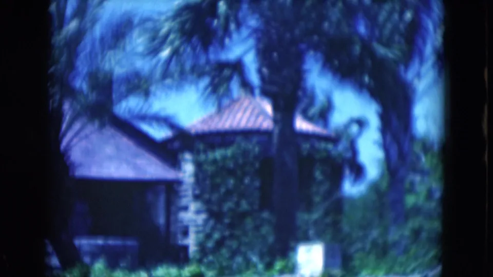 1975 Florida home-movie frame showing palms shaken by wind beside a dark building, roof tiles, greenery, and a pale foreground post.