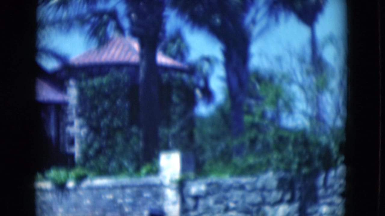 Palm trees and stone house with a red tile roof behind a wall.