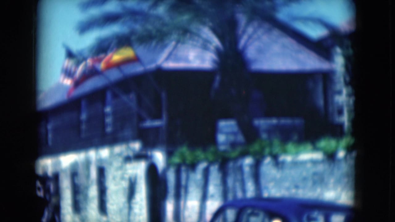 Building corner with country flags on the roofline, palm fronds, stone wall, and partial blue car.